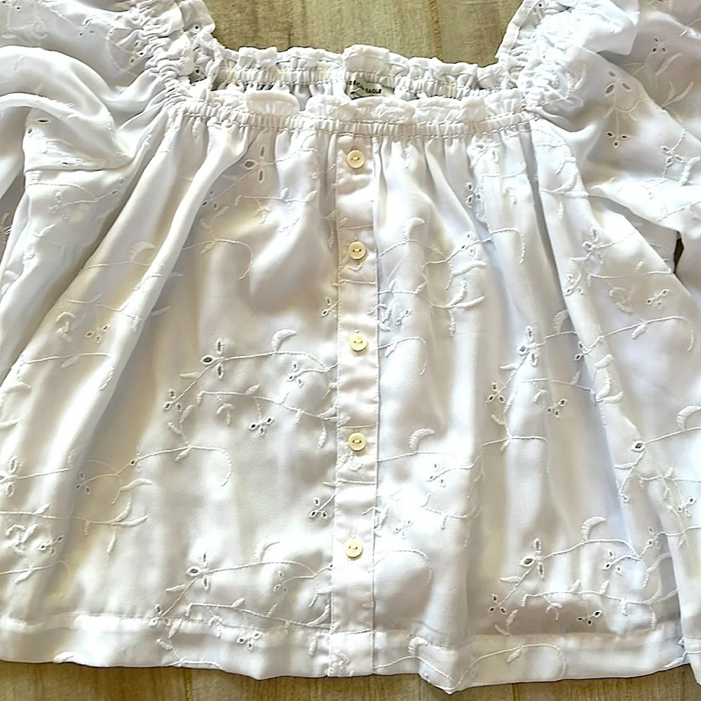 NWOT American Eagle Baloon Sleeve Lined Embroidered Babydoll Top - Picture 2 of 9